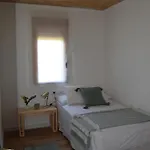 Holiday home Masia Chopo *